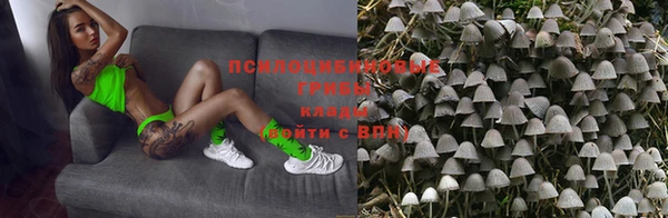 ПСИЛОЦИБИНОВЫЕ ГРИБЫ Киреевск