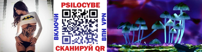 Псилоцибиновые грибы мицелий  Купить где  Тимашёвск 